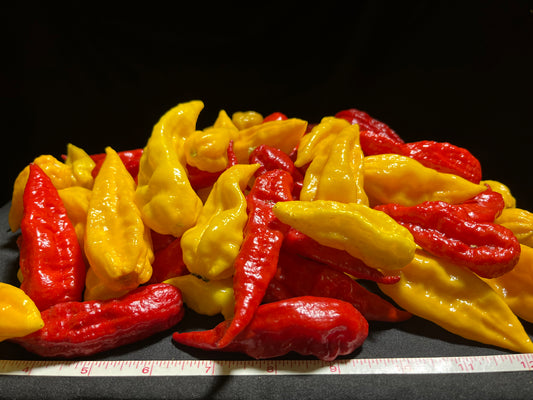 Fatalii Yellow and Red